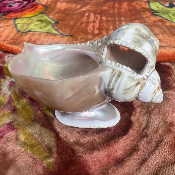 Antique Victorian Carved Shell Fish Bowl String Holder Basket Curio Salt Cellar - Picture 4 of 10